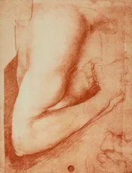 Study of an Arm